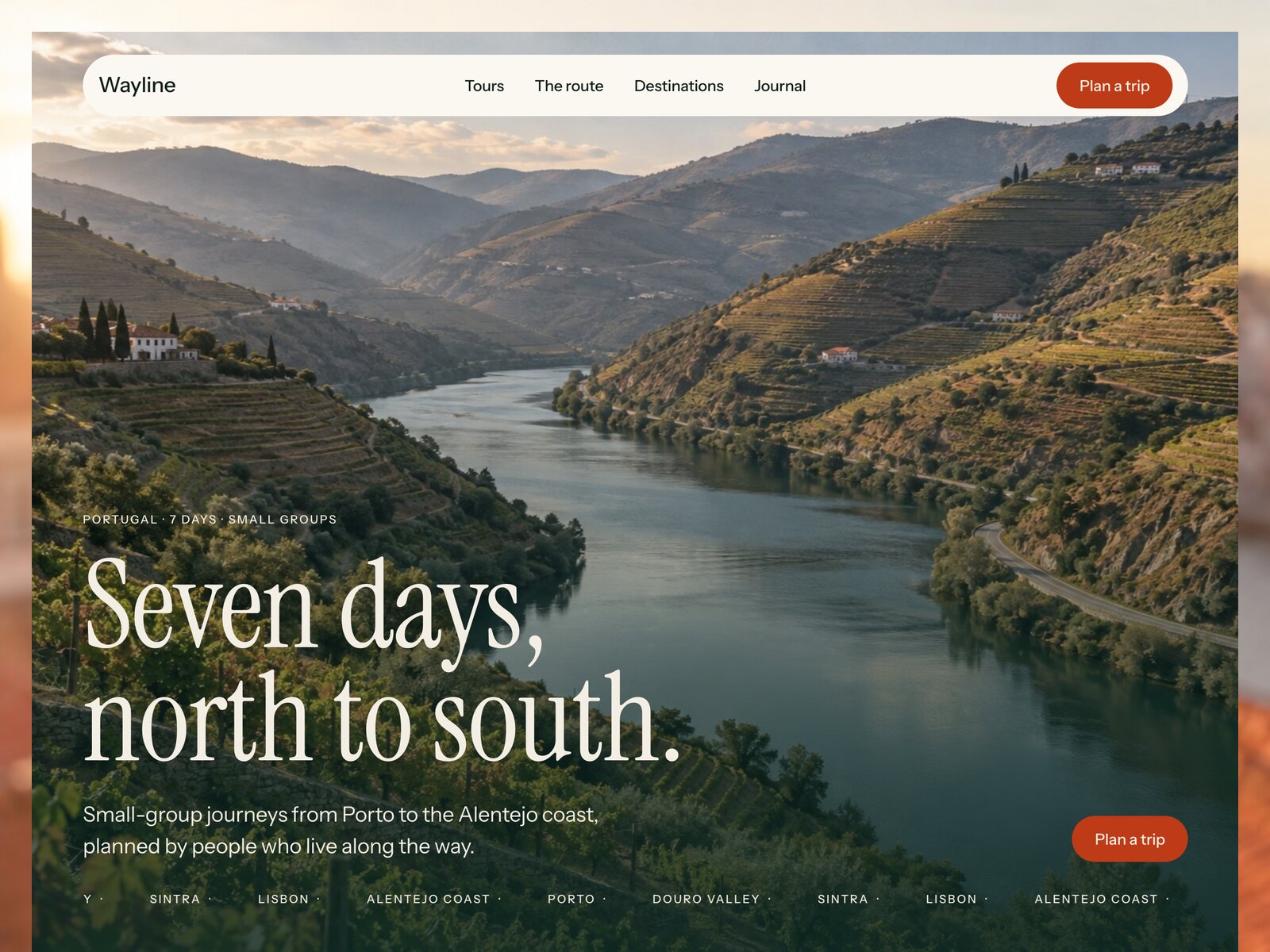 Wayline website template preview
