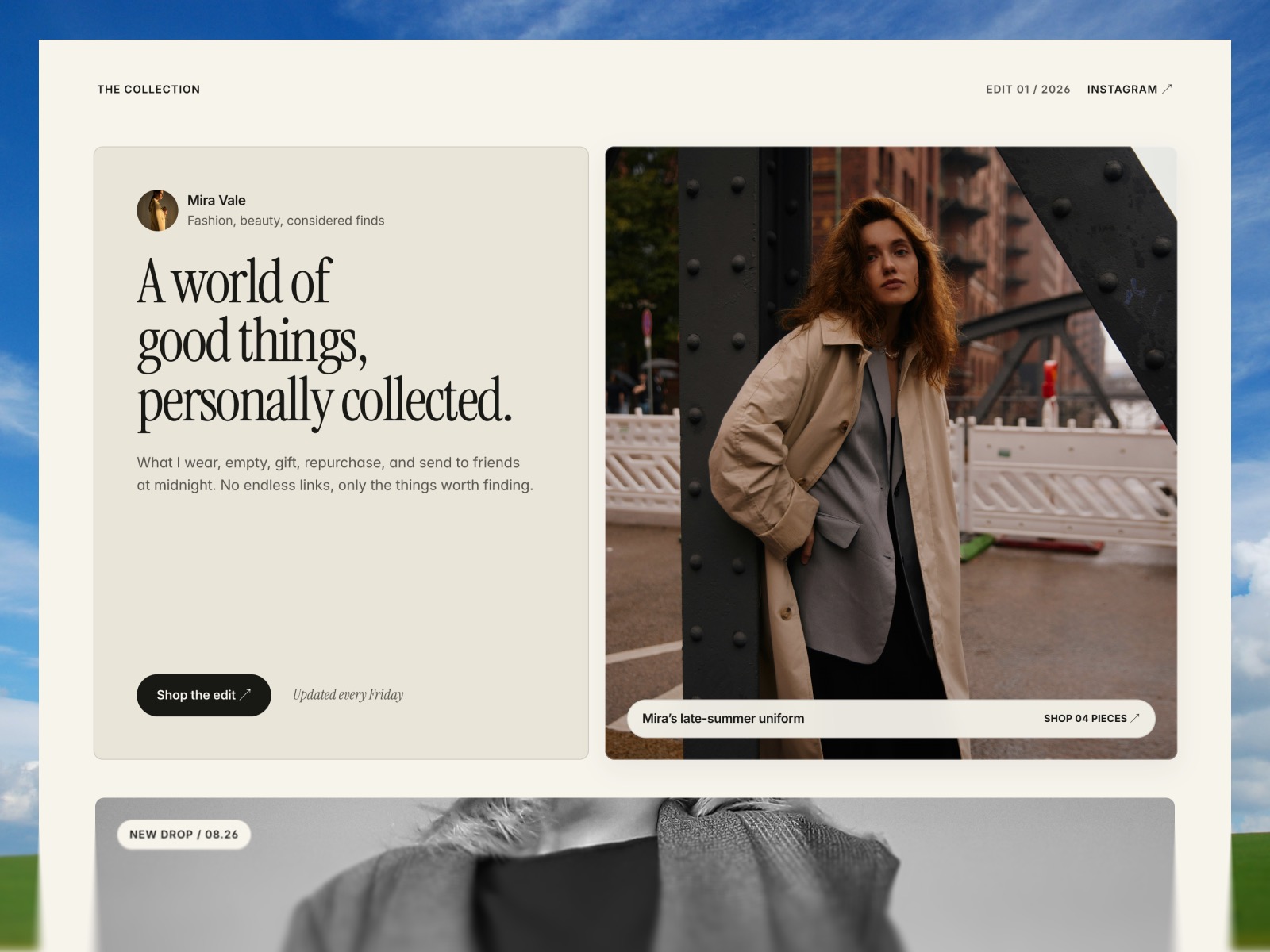 The Collection website template preview